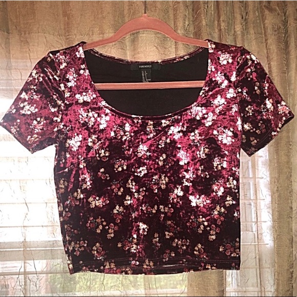 Velvet Crop Top - Picture 1 of 3